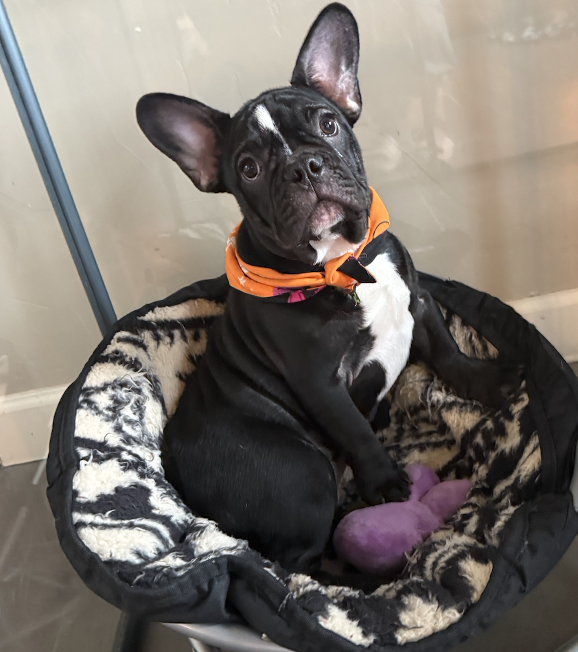 Screenshot 2025-09-29 at 7.30.29 PM